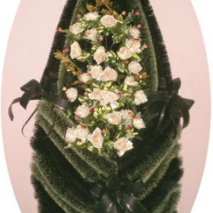 Черепаха ерш (140х75)